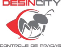 logo_desincity_cinza_sf 1